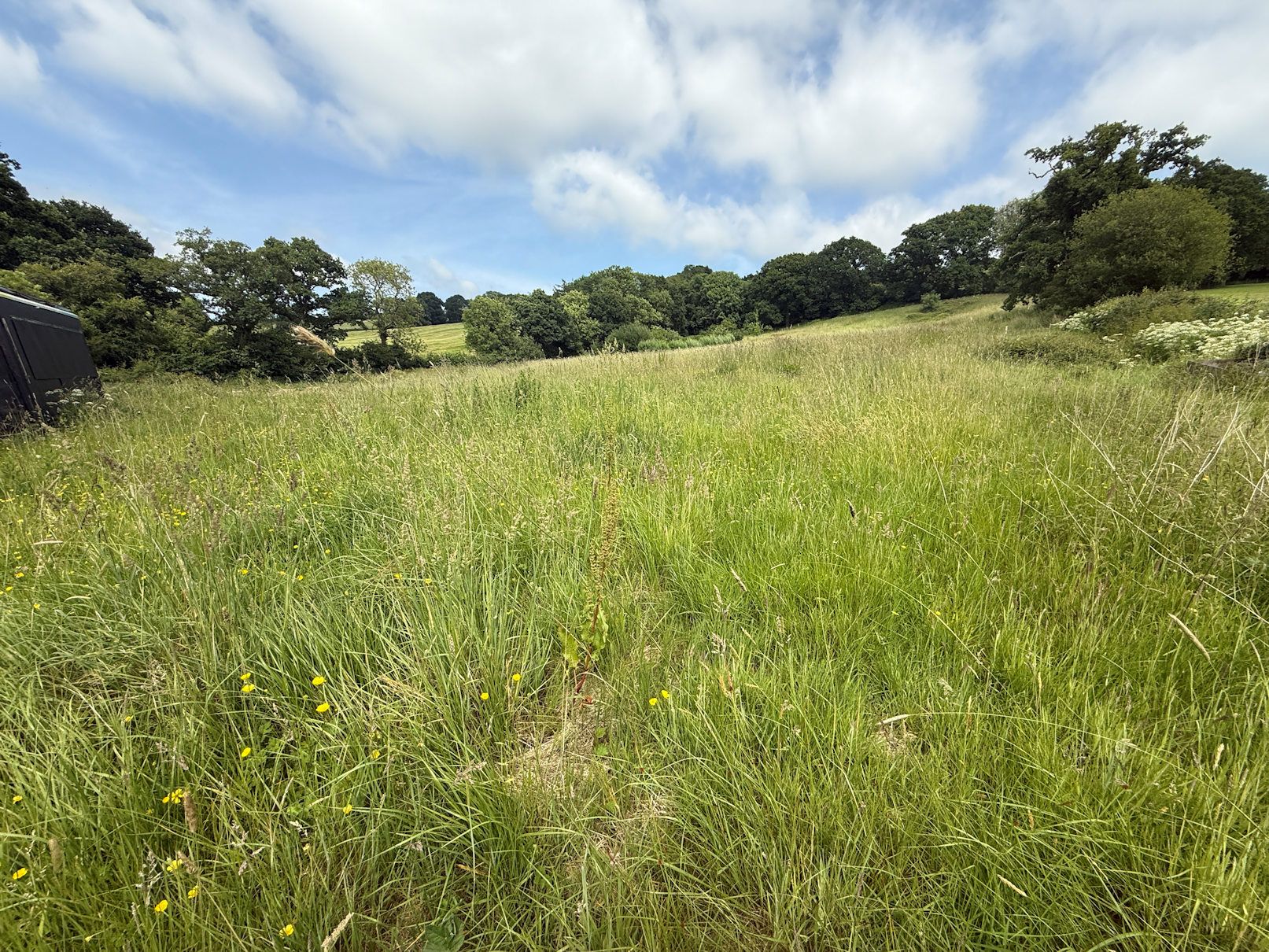 view across land