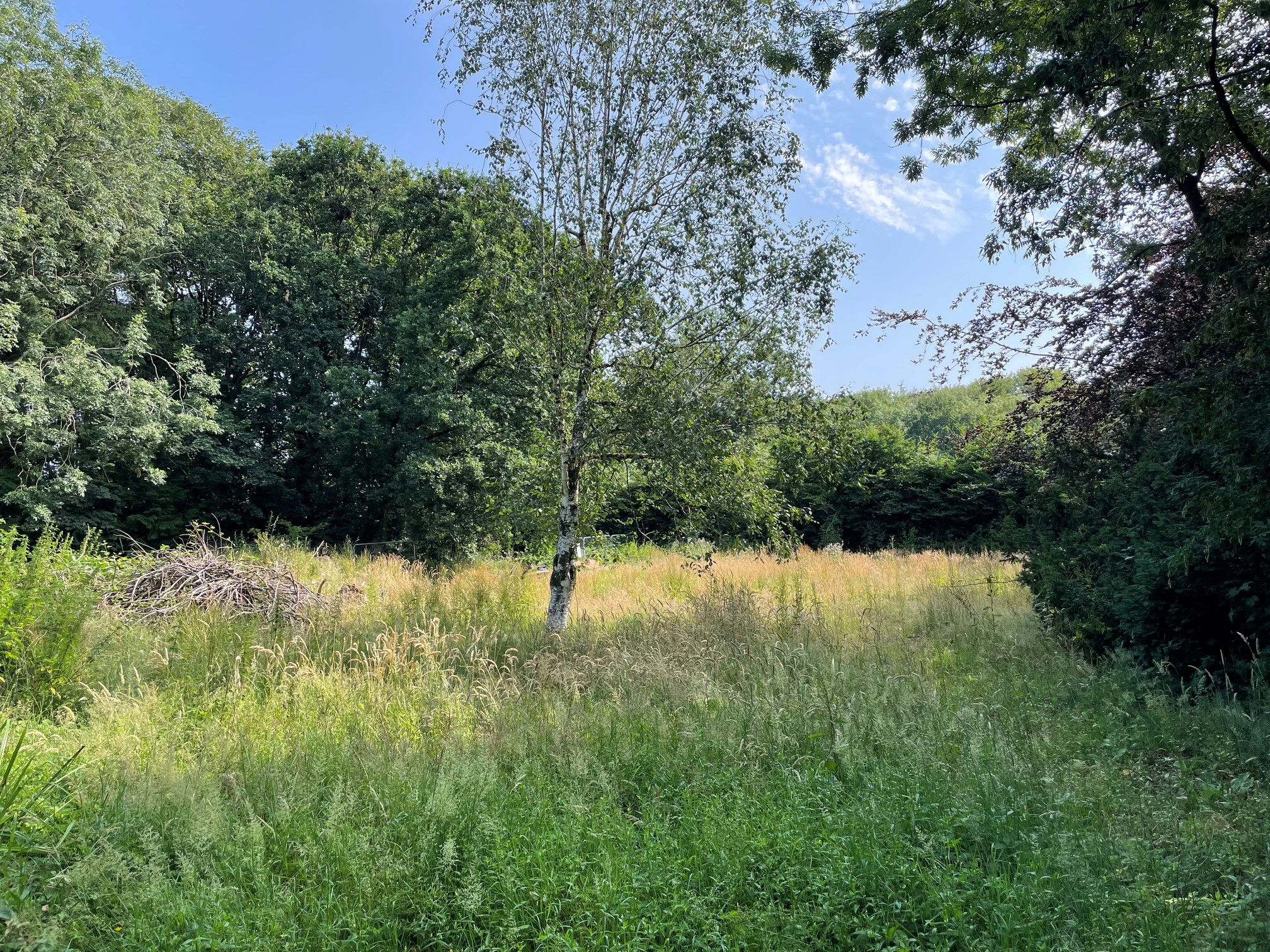 Stoodleigh, Nr Tiverton - Single Plot — photo 3