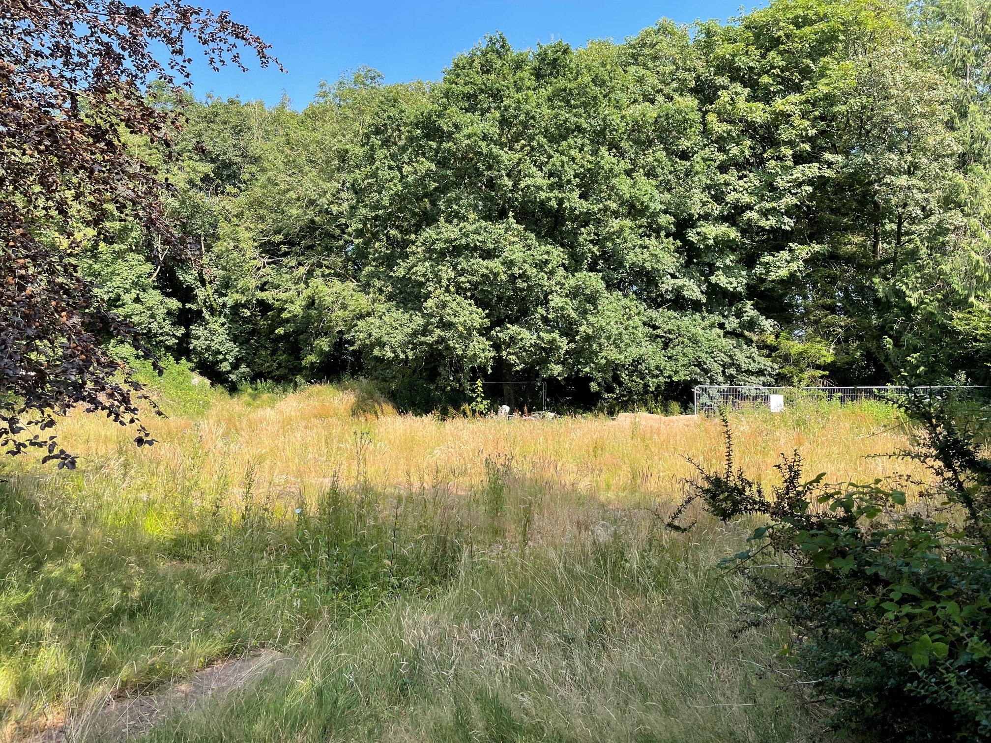 Stoodleigh, Nr Tiverton - Single Plot — photo 4