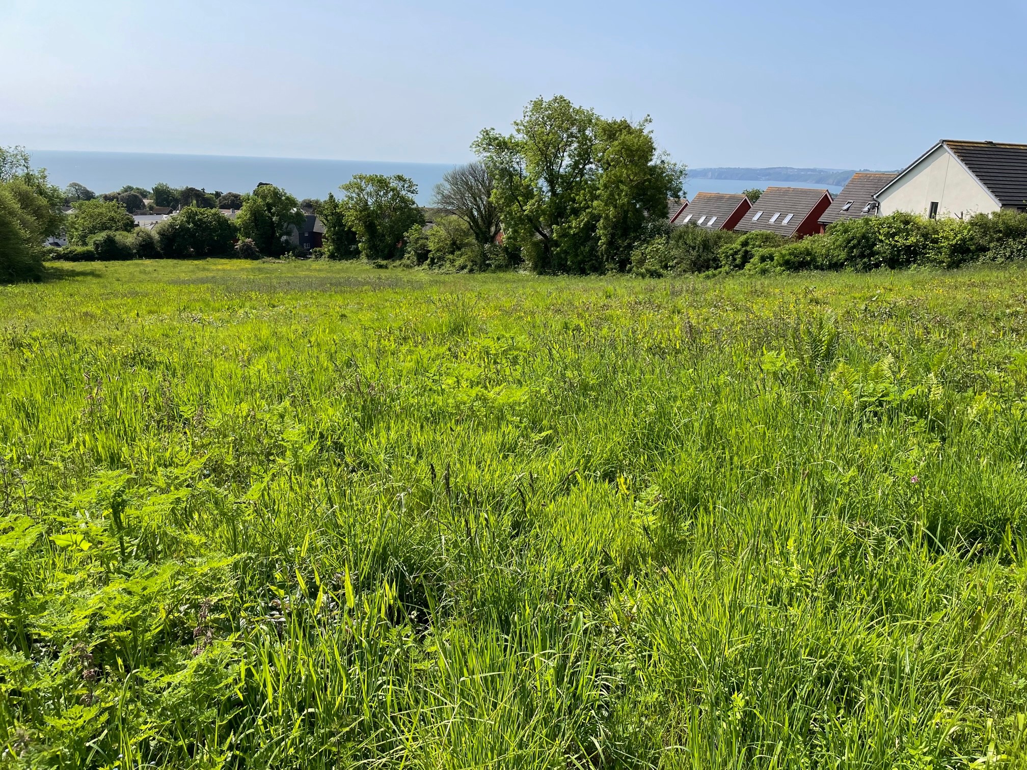 Teignmouth, Land North Of New Road KLP