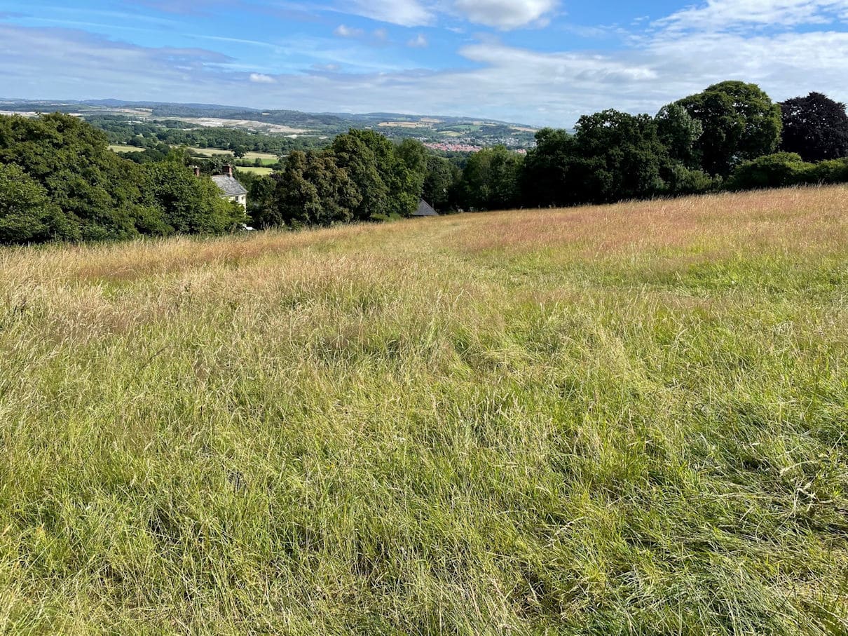 Highweek, Newton Abbot, Site For 5 KLP